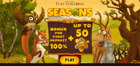 PlayFortuna bonus