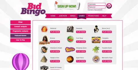 bid bingo games