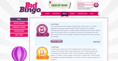 bid bingo online bingo games