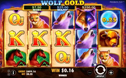 wolf gold slot free spins