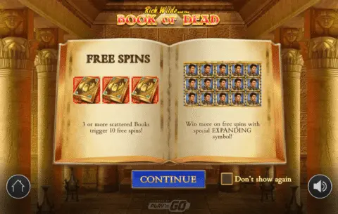 play Book of Dead slot