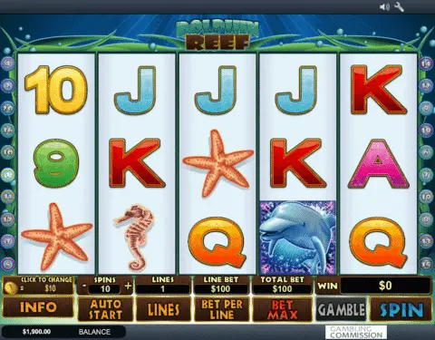 Dolphin Reef Game