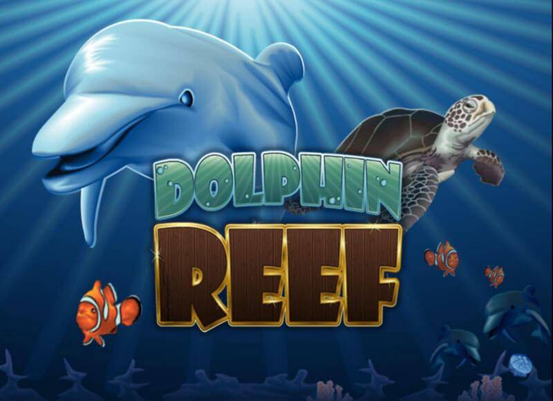 Dolphin Reef logo