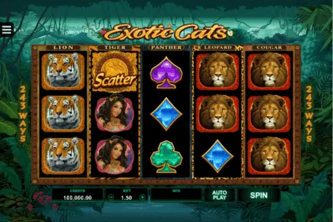 Exotic Cats slot free spins