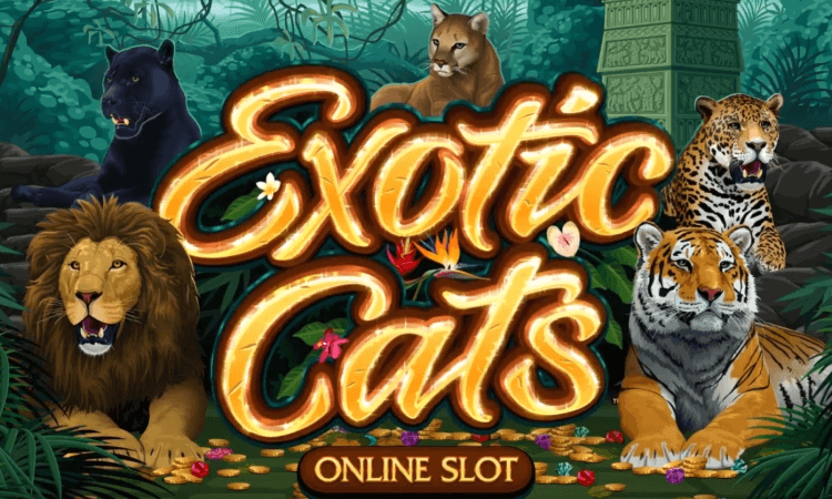 Exotic Cats slot