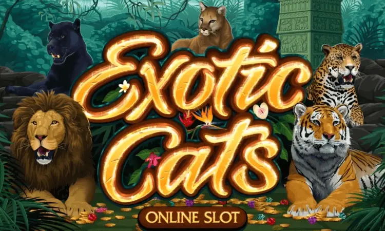 Exotic Cats slot