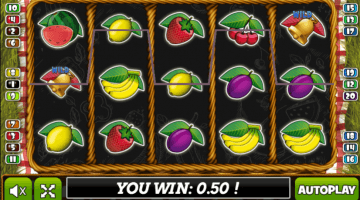 Fruit Basket slot free spins