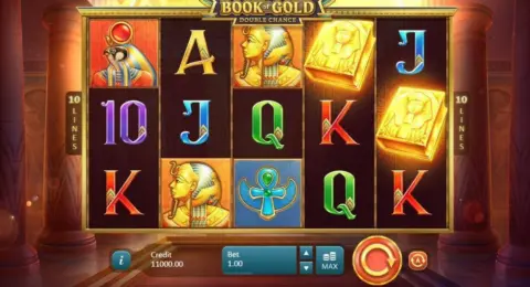 Book of Gold Double Chance slot game