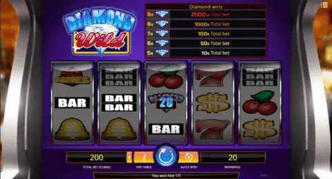 Diamond Wild slot game