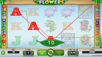 Flowers slot free spins