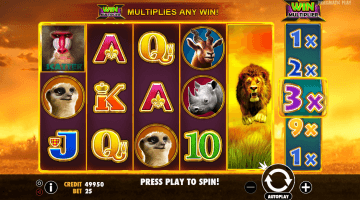 Hot Safari slot free spins