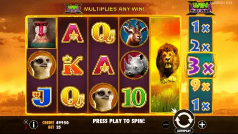 Hot Safari slot free spins