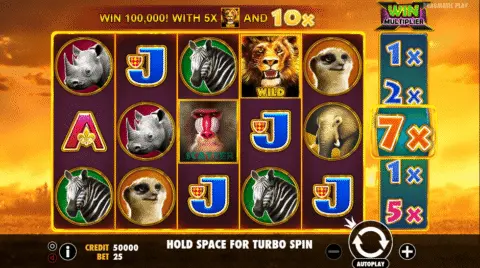 Hot Safari slot game