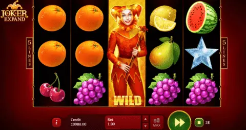 Joker Expand slot game