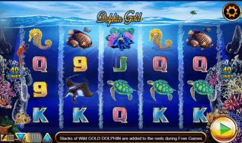 Play Dolphins Gold slot