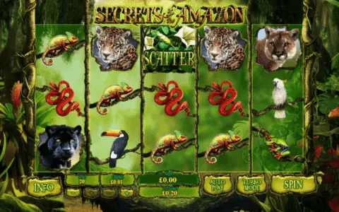 Secrets of the Amazon slot game