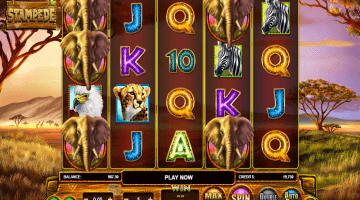 Stampede slot free spins