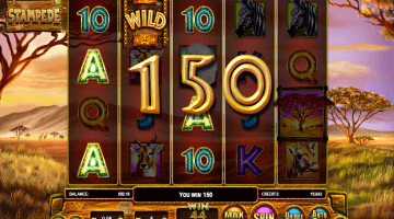 Stampede slot game