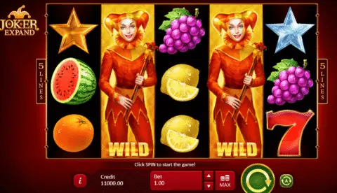 play Joker Expand slot