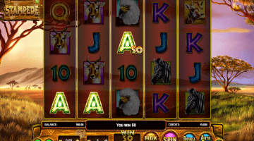 play Stampede slot