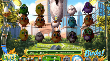 Birds slot free spins