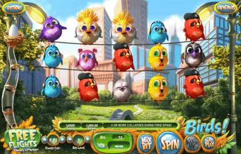 Birds slot game
