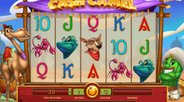 Cash Camel slot game