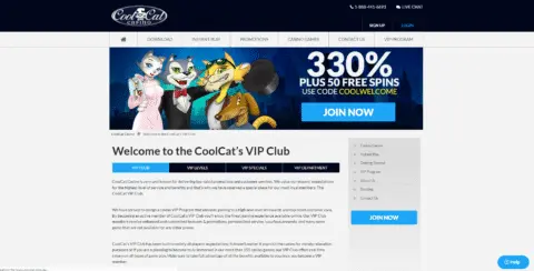 Cool Cat casino vip program