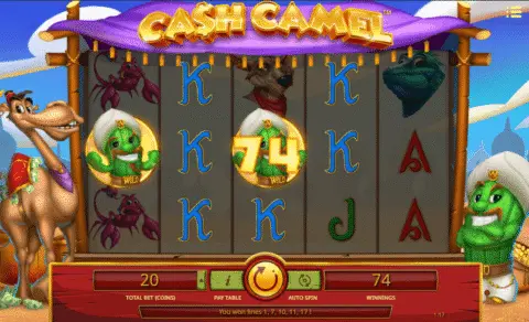 play Cash Camel slot