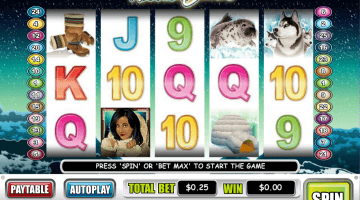 Arctic Queen slot game