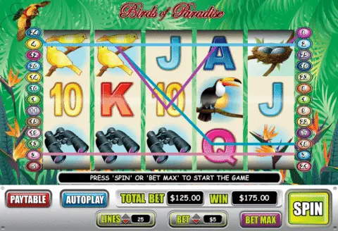 Birds of Paradise slot free spins