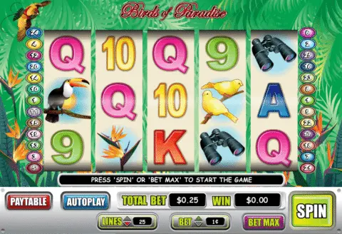 Birds of Paradise slot game