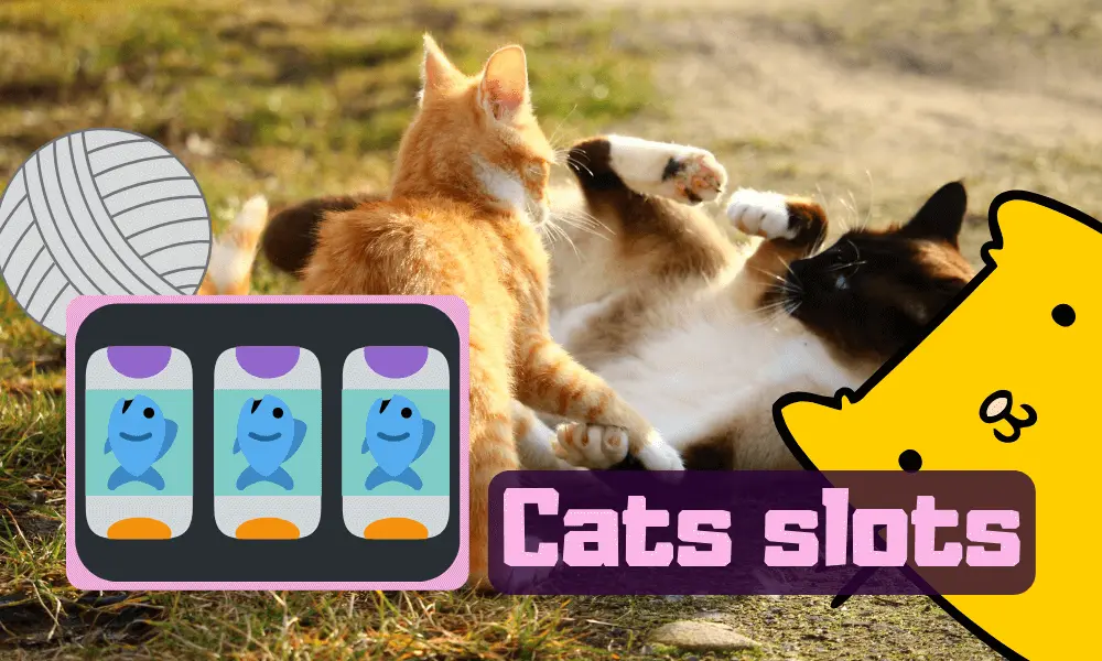 Cats slots