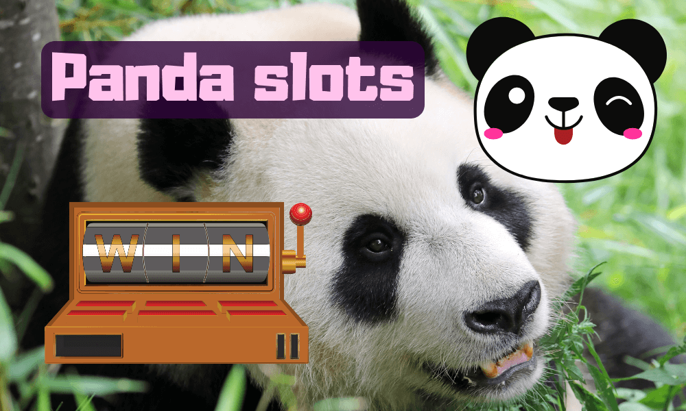 Panda slots