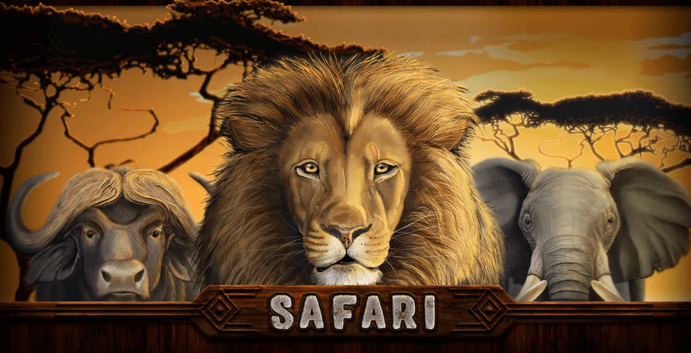 Safari slot