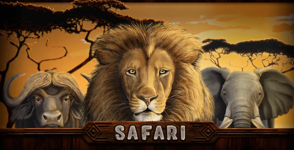 Safari slot
