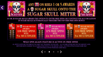 play Beautiful Bones slot
