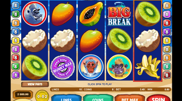 Big Break Slot Game