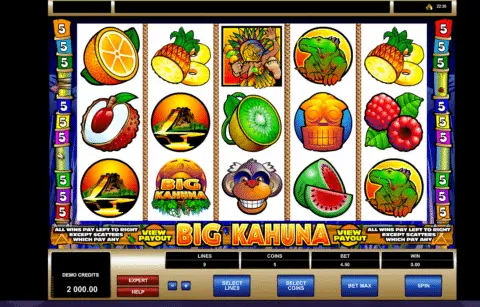 Big Kahuna Slot Game