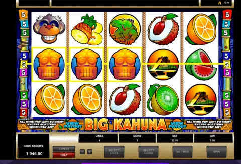 Big Kahuna Slot Game Free Spins