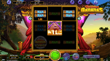 Booming Bananas Slot Game Free Spins