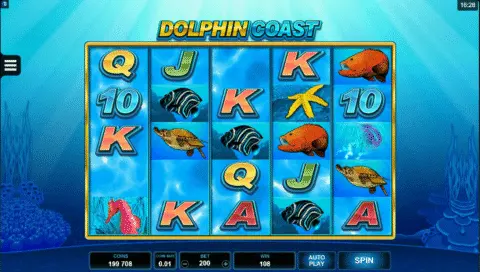 Dolphin Coast Slot Game