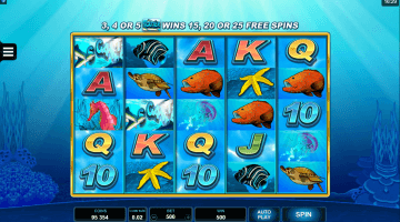 Dolphin Coast Slot Game Free Spins