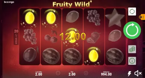 Fruty Wild Slot Game