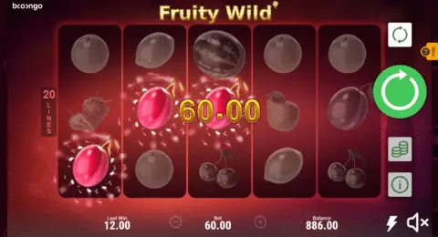 Fruty Wild Slot Game Free Spins