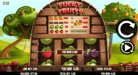 Lucky Fruits Slot Game