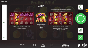 Play Fruty Wild Slot