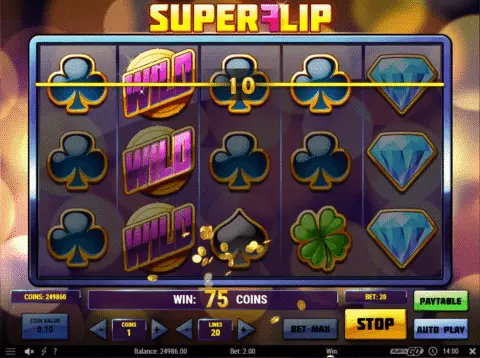 Super Flip Slot Game