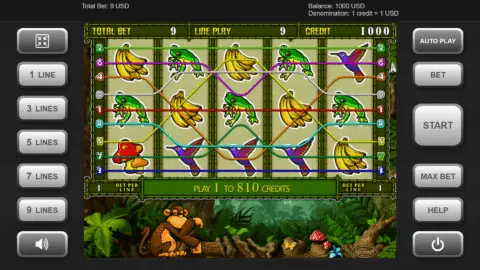 Play Crazy Monkey 2 Slot