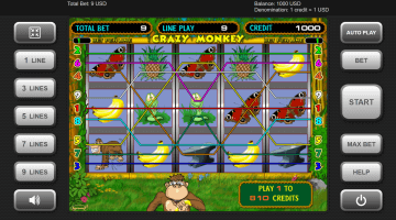 Play Crazy Monkey Slot